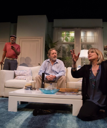 A woman is using her hands to describe something to a man on the couch. Another man looks at his phone in the background for the play "Morning After Grace" for TRW Plays.