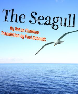 A seagull in flight over the ocean with the the play title "The Seagull" printed above it.